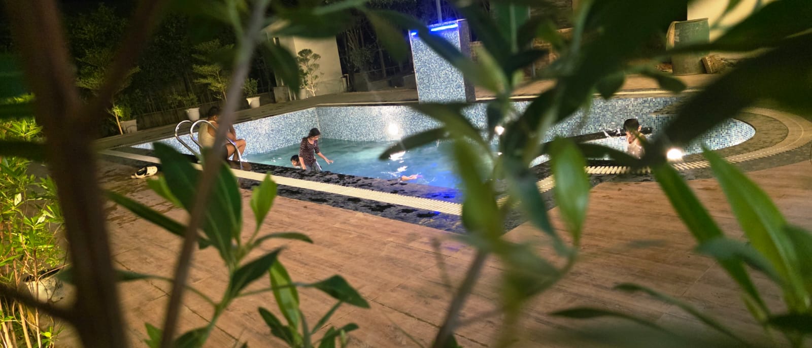Pool at night viewed through greenery